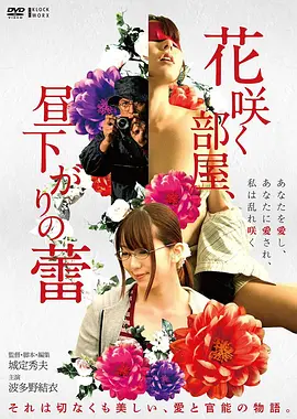 hd电影河岸电影院海报